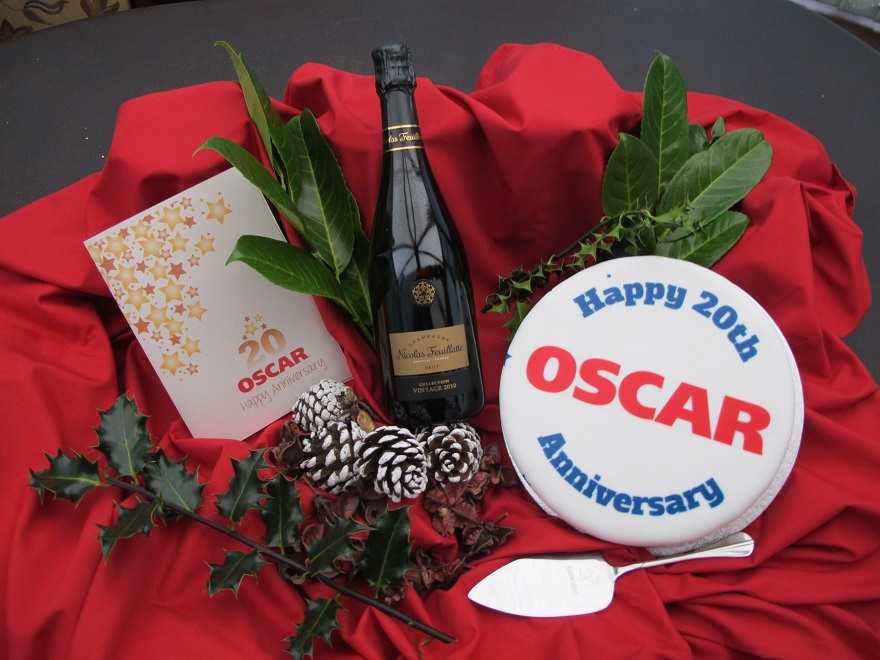 OSCAR-20th-year-anniversary.jpg